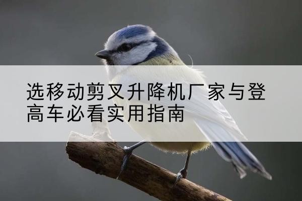 双滦电动升降机厂家-选移动剪叉升降机厂家与登高车必看实用指南
