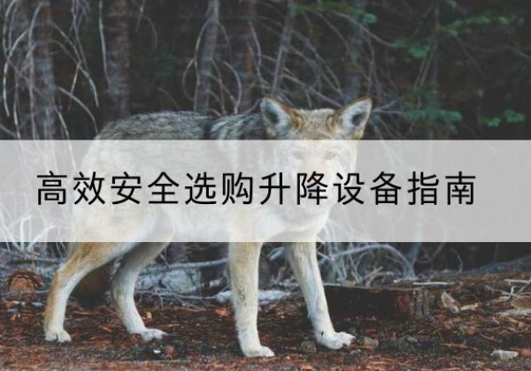 双滦升降货梯厂家推荐-*安全选购升降设备指南